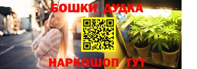 индика Жуковский