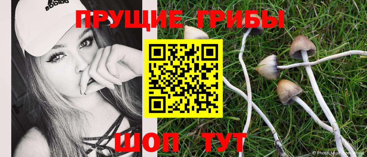 Можга  Галлюциногенные грибы GOLDEN TEACHER  где можно купить   Вход с VPN  Галлюциногенные грибы GOLDEN TEACHER 